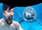 mrbeastunderwater.gif
